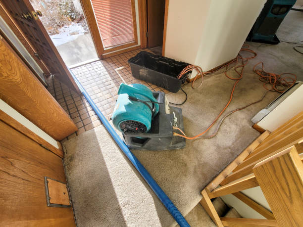 Best Carpet water damage restoration  in Little Rock, AR