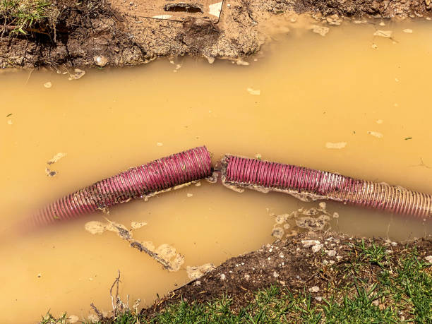 Best Flood restoration services  in Little Rock, AR