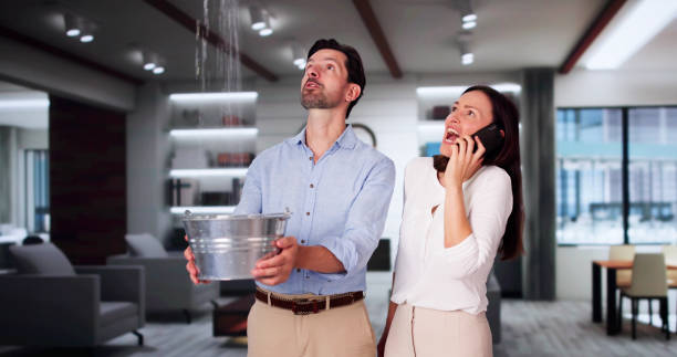 Best Mold removal after water damage  in Little Rock, AR